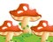 Raw mushrooms cartoon