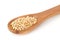 Raw, natural, uncooked buckwheat seed kernels in wooden spoon