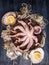 Raw Octopus in bowl on fishing net with sea shell and lemon , blue wooden table