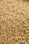 Raw Organic Amaranth Grain