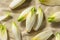 Raw Organic Belgian Endive