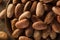 Raw Organic Cocoa Beans