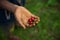 Raw and organic coffee beans in the palm of a farmes hand