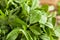 Raw Organic Fenugreek Methi Leaves