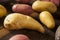 Raw organic fingerling potato medley