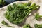 Raw Organic Fresh Broccolini Vegetable