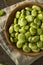 Raw Organic Fresh Green Fava Beans