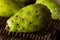 Raw Organic Green Cactus Pears