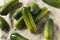 Raw Organic Green Pickling Cucumbers