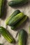 Raw Organic Green Pickling Cucumbers