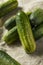 Raw Organic Green Pickling Cucumbers