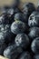 Raw Organic Healthy Blueberries