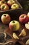 Raw Organic Honeycrisp Apples