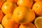 Raw Organic Juicy Oranges