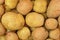 Raw organic potato closeup background