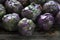 Raw Organic Purple Brussels Sprouts