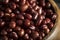 Raw Organic Red Adzuki Beans