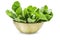 Raw organic romaine lettuce or green cos in wood bowl on white isolated background, clipping path. Fresh cos lettuce have sweet