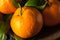Raw Organic Satsuma Oranges
