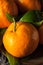 Raw Organic Satsuma Oranges