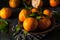 Raw Organic Satsuma Oranges