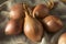 Raw Organic Shallot Onions