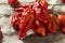 Raw Organic Spicy Bhut Jolokia Ghost Peppers