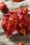 Raw Organic Spicy Bhut Jolokia Ghost Peppers