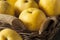 Raw Organic Yellow Asian Apple Pears