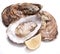 Raw oyster and lemon on a whte background.