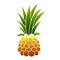 Raw pineapple icon, cartoon style