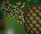 raw pineapples and bromelain molecule in the green background