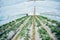 Raw of plants in a strawberry greenhouse