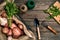 Raw potatoes in a linen bag, arugula, garlic, garden shovel and rake, food background, top view