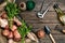 Raw potatoes in a linen bag, arugula, garlic, garden shovel and rake, food background, top view