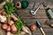 Raw potatoes in a linen bag, arugula, garlic, garden shovel and rake, food background, top view