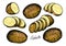 Raw potatoes set with whole root crops and sliced pieces. Farm vegetables vector illustration