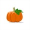 Raw pumpkin or Halloween graphic design ideas