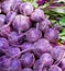 Raw purple beets
