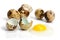 Raw quail eggs