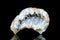 Raw quartz druse or geode mineral stone in front of black background