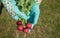 Raw radish in the women hand