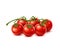 Raw realistic red ripe tomato cherry cluster, 3d