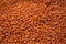 Raw red lentils texture background
