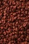 Raw Red Organic Annatto Seeds
