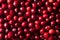 Raw Red Organic Cranberries