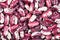 Raw red speckled beans close up