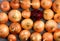 Raw ripe onions bulbs. Onions bulbs background