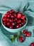 Raw ripe red cranberry berries in light blue bowl