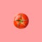 Raw ripe red tomato floating isolated on cherry pink background. Creative food poster